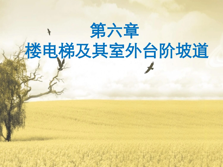 第六章 楼电梯及其室外台阶坡道_第1页