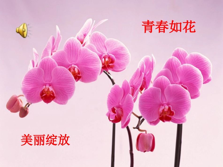 2015中考考前心理辅导_第1页