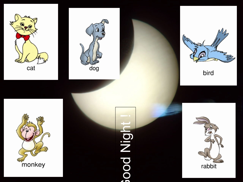 新路径三年级上册Lesson-I-Good-Night!_第3页