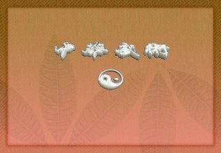 中国传统武术联社ppt