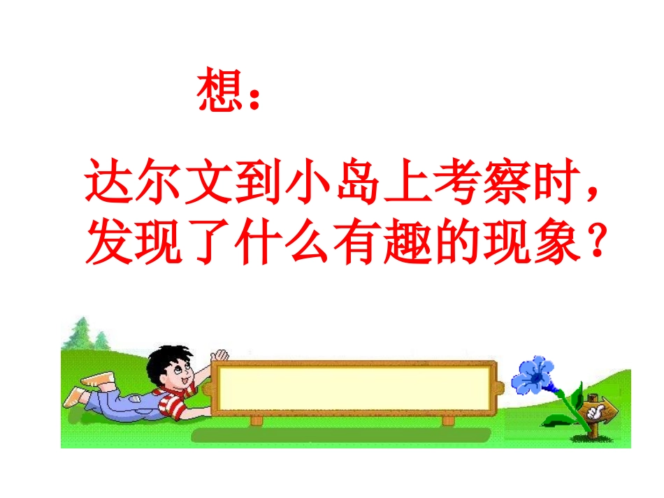 有趣的发现PPT_第2页