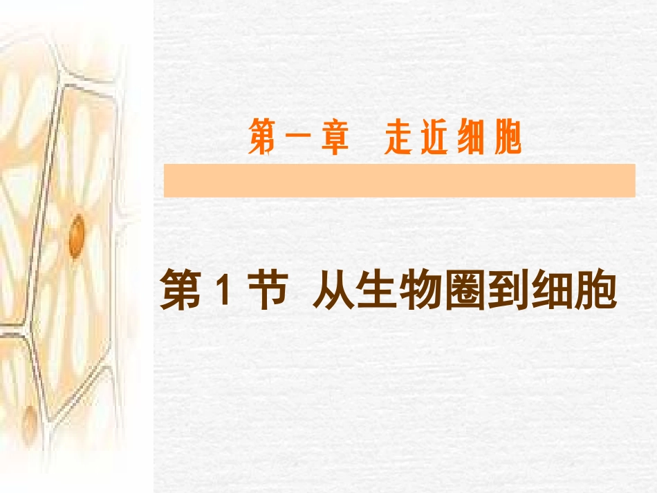 第一节从生物圈到细胞_第1页
