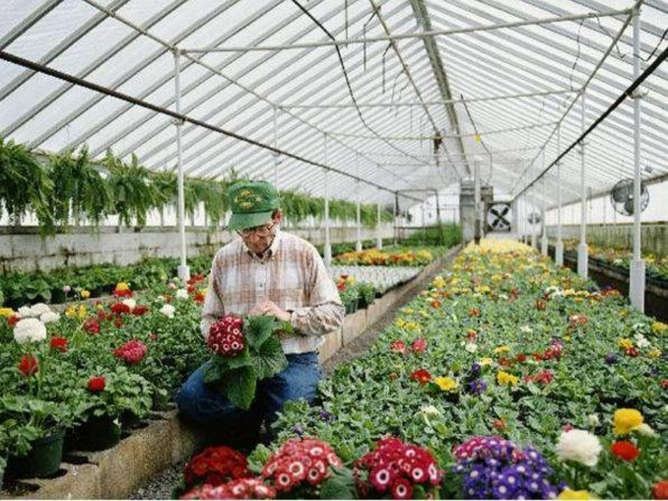 人教版语文二上34《农业的变化真大》ppt课件-(2)_第3页