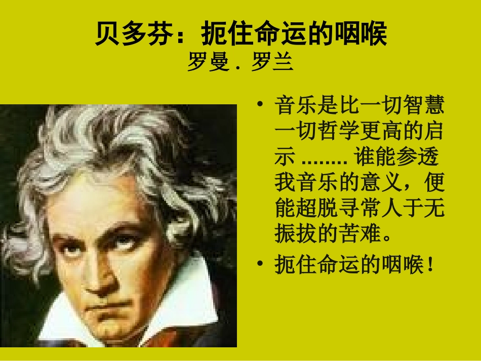 贝多芬—扼住命运的咽喉_第2页