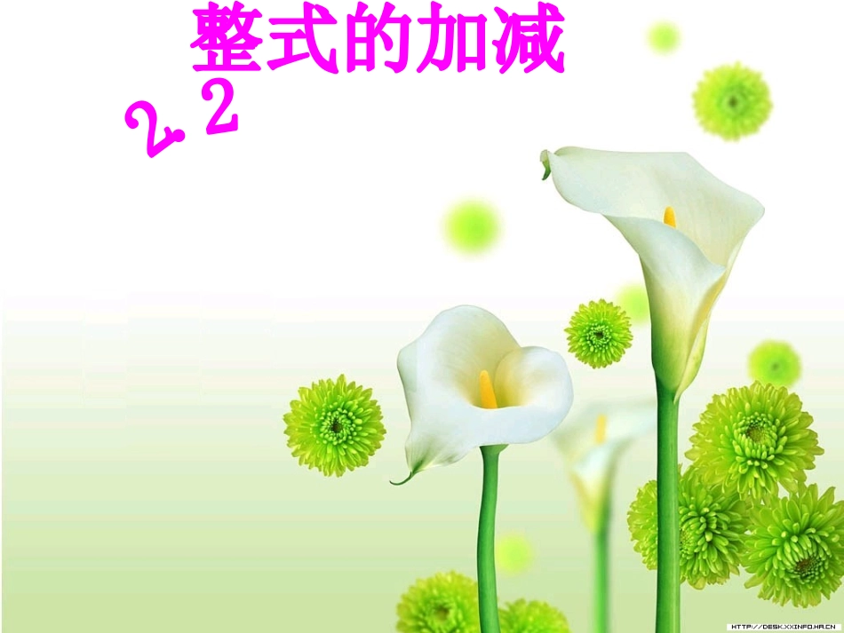 整式的加减-(2)_第1页