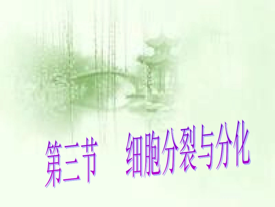 《第三节-细胞分裂与分化》课件2_第1页