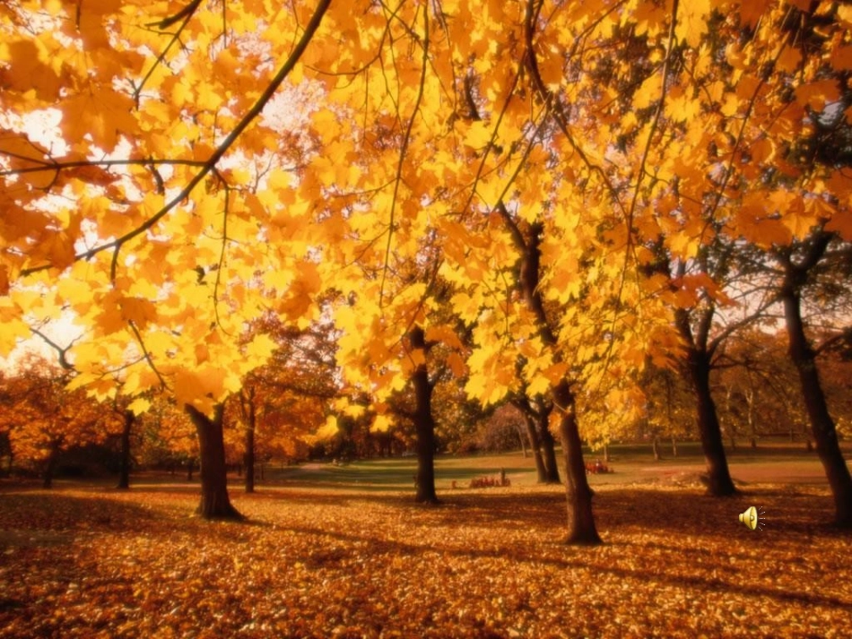 识字1(两个课时)_第2页