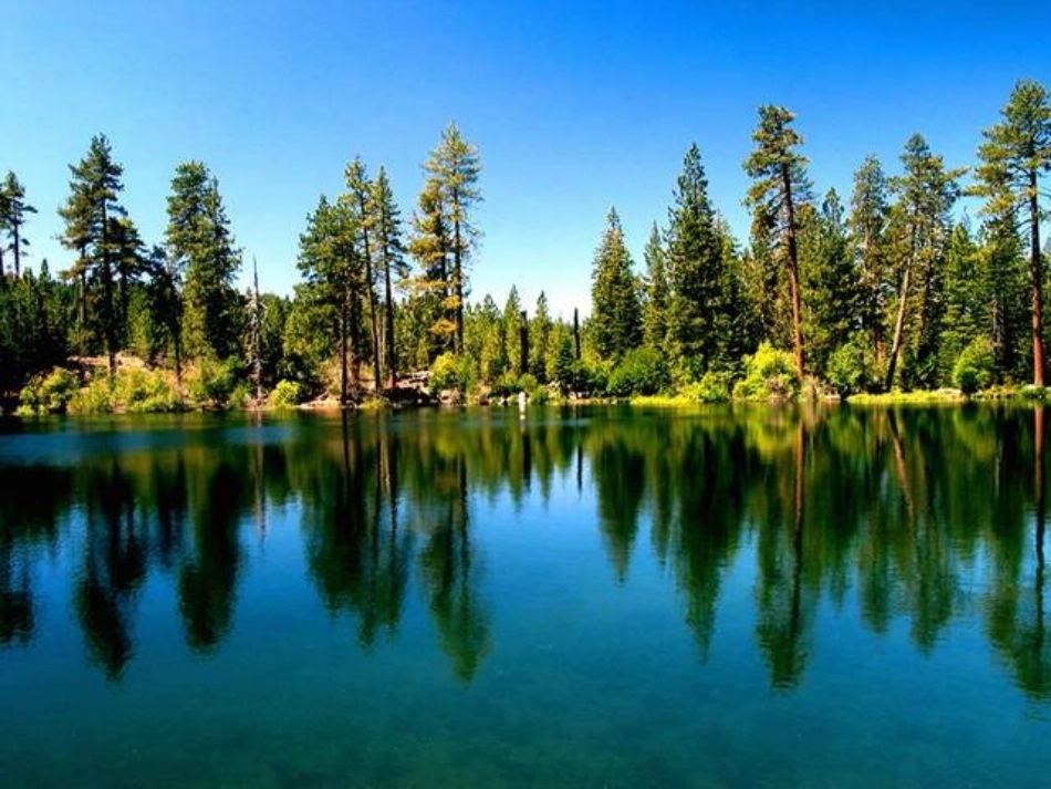 识字1(两个课时)_第3页