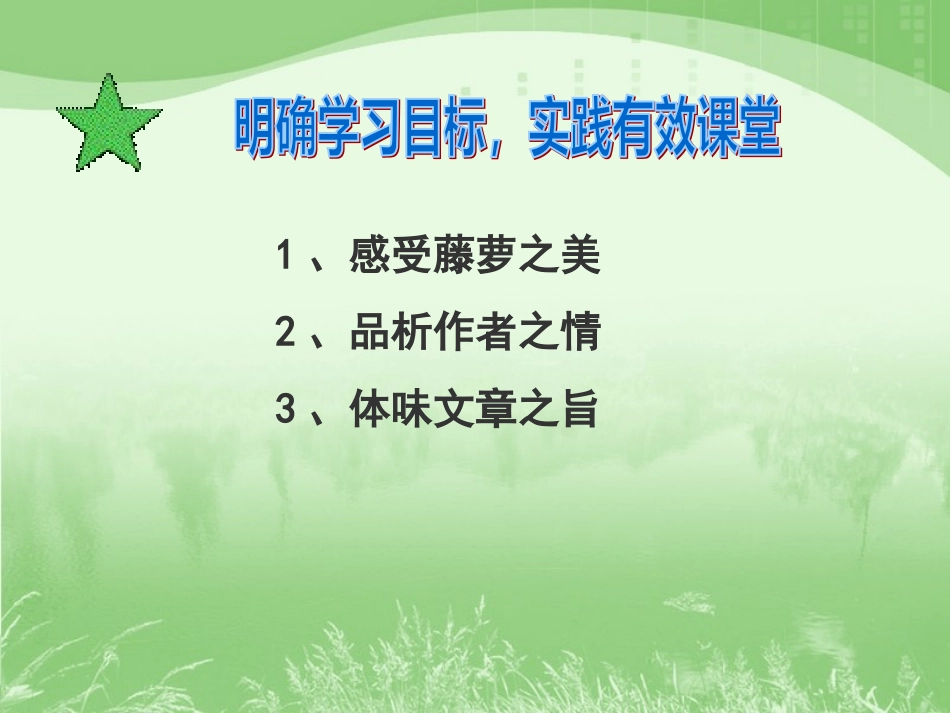 《幽径悲剧》市区评优课_第3页