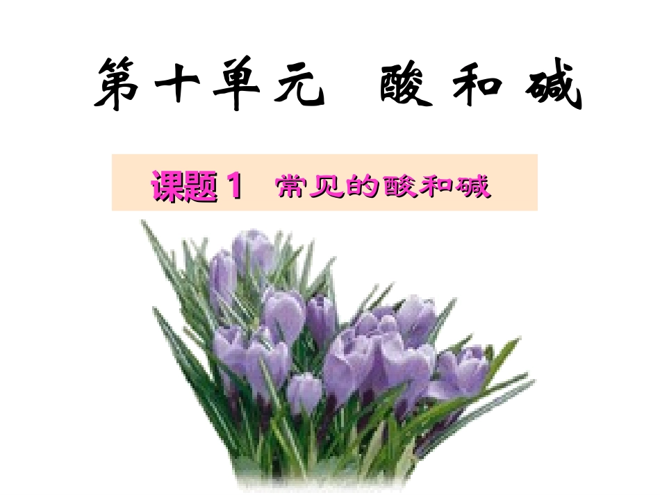 课题1-常见的酸和碱(1已修改)_第2页