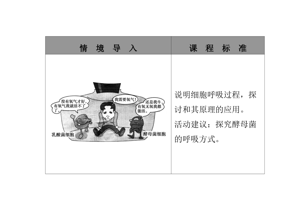 5.3ATP的主要来源-细胞呼吸_第2页