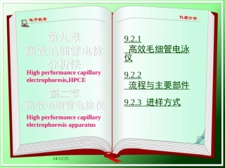 高效毛细管电泳仪