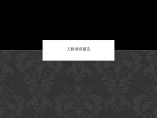 天桥路面及排水分析