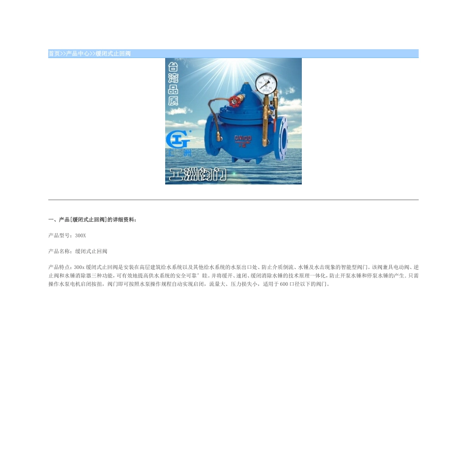 缓闭式止回阀_第1页