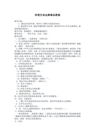 珍爱生命远离毒品教案2