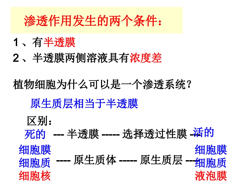 784.1物质跨膜运输的实例_第3页