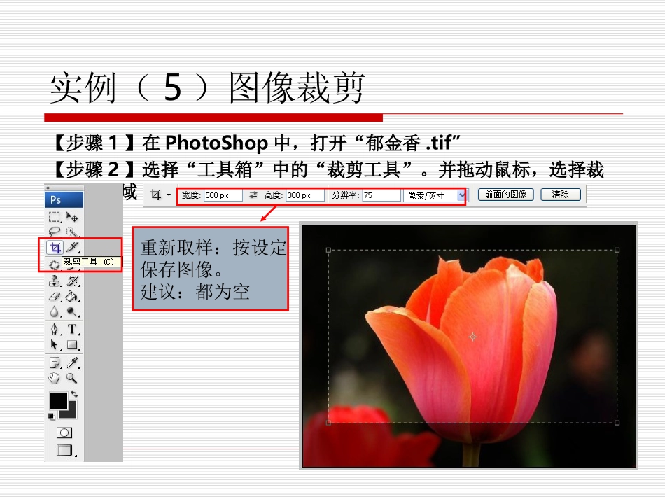 实例(5)图像裁切_第2页