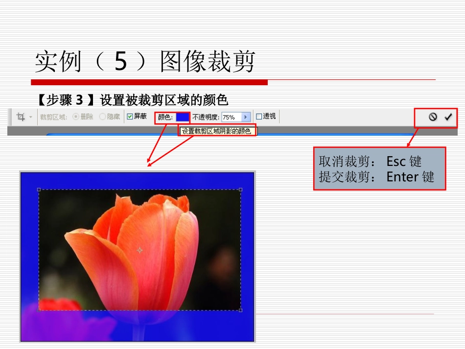 实例(5)图像裁切_第3页
