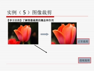 实例(5)图像裁切