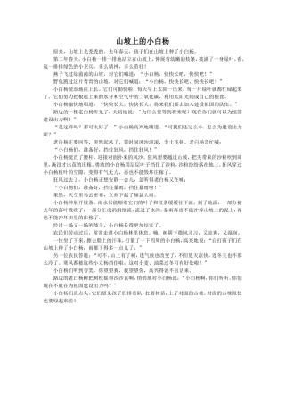 拓展阅读-《山坡上的小白杨》