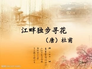 江畔独步寻花