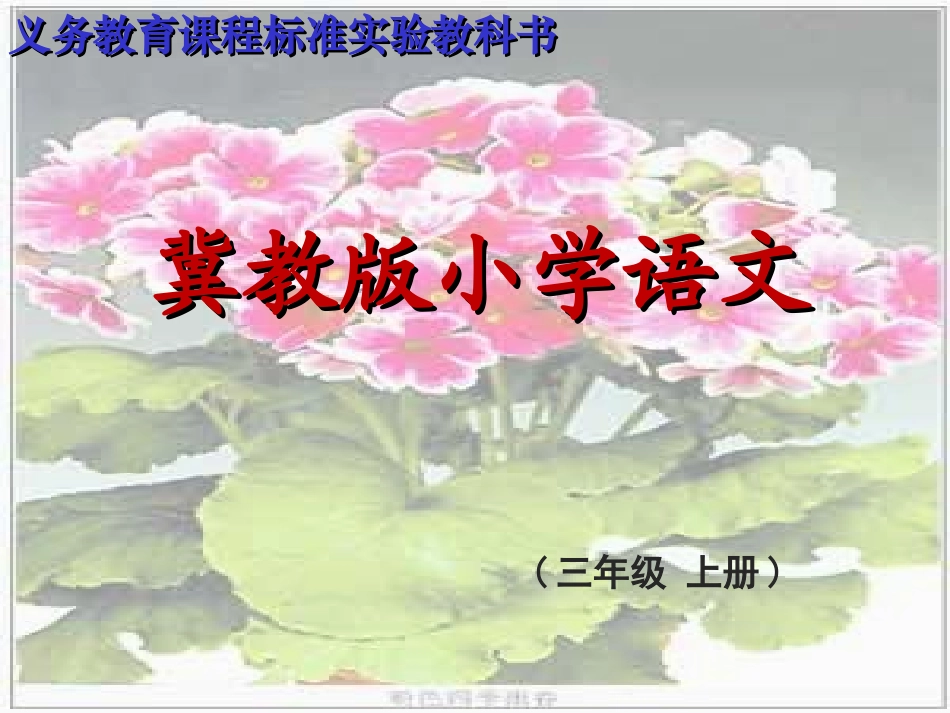 《会变色的报春花》课件_第1页