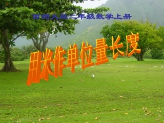 西师大版小学数学二上---用米作单位量长度