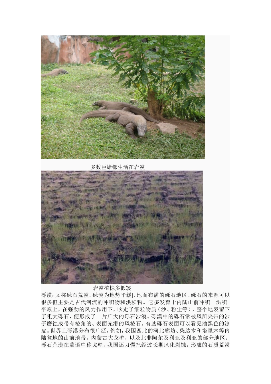 岩漠和砾漠 郭亚男_第2页