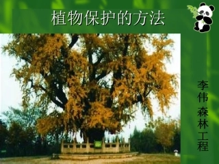 植物保护的主要方法  LW