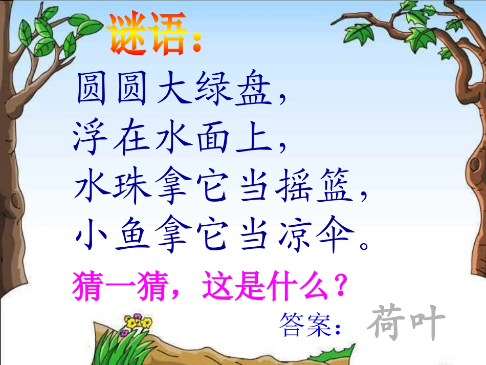 (部编)人教语文2011课标版一年级下册《13.荷叶圆圆》_第3页