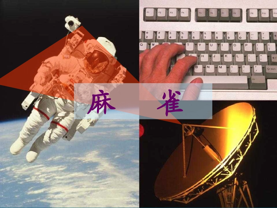 《麻雀》课件_第1页
