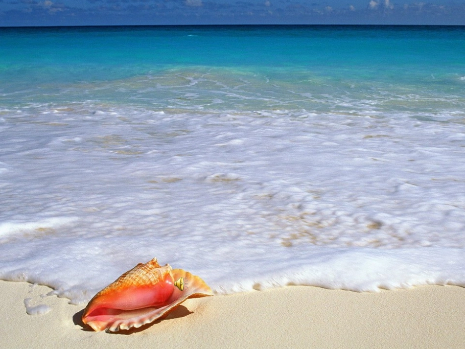 大海睡了(1)_第2页