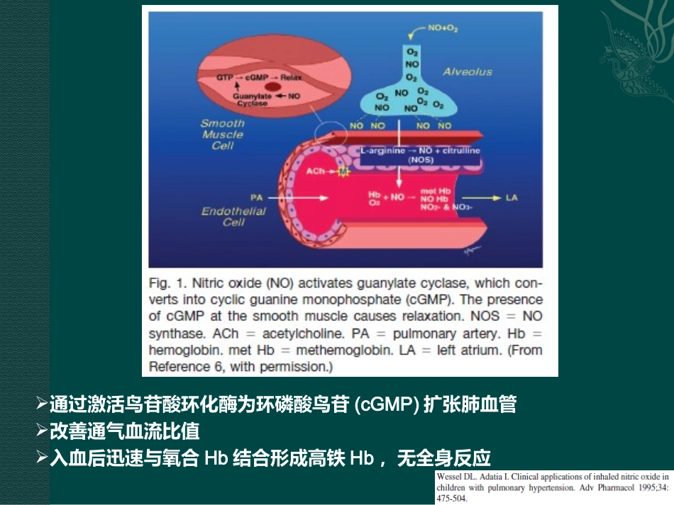 一氧化氮吸入在新生儿中应用_第3页