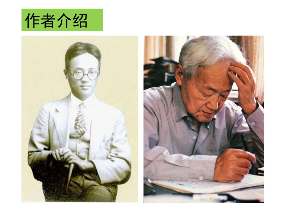 小狗包弟定稿_第3页