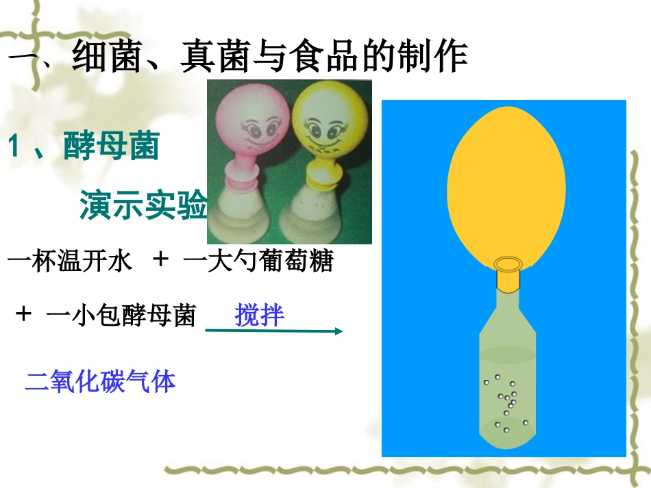 人类对细菌和真菌的利用 (2)_第2页