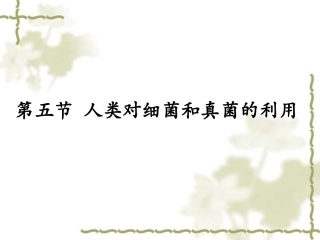 人类对细菌和真菌的利用 (2)