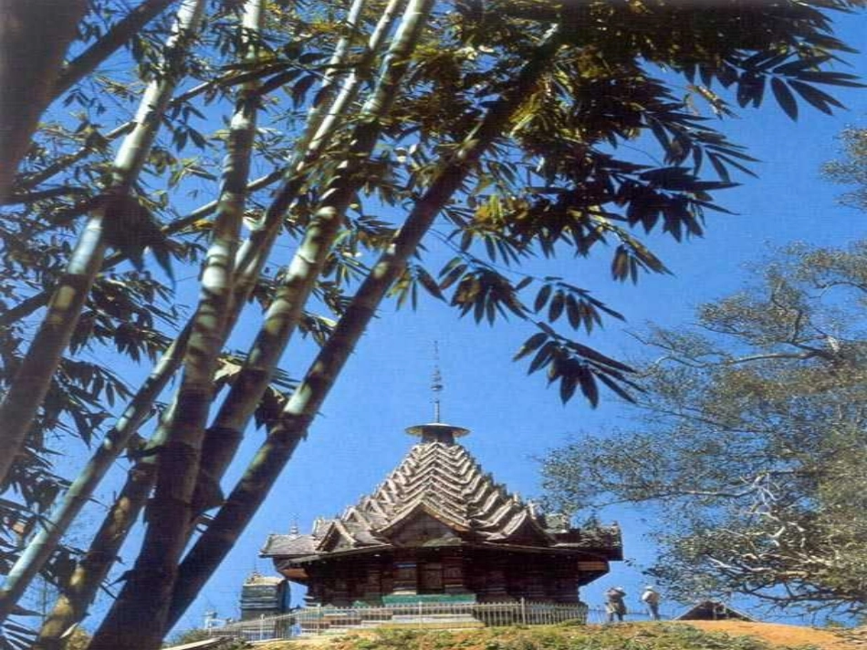 美丽的西双版纳_第2页