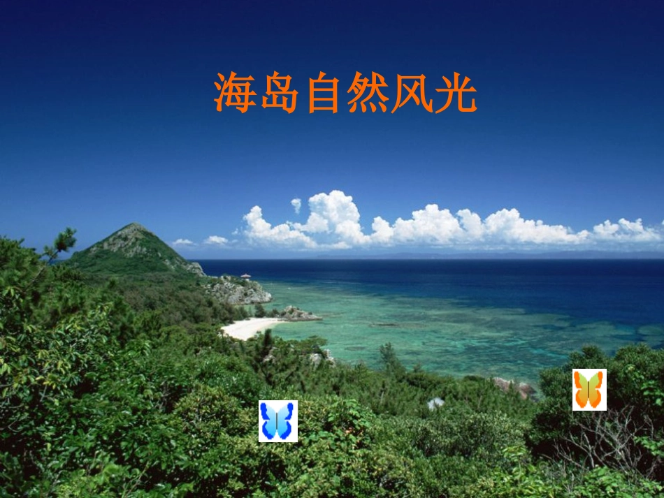 7彩色的翅膀_第3页