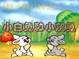 26、小白兔和小灰兔