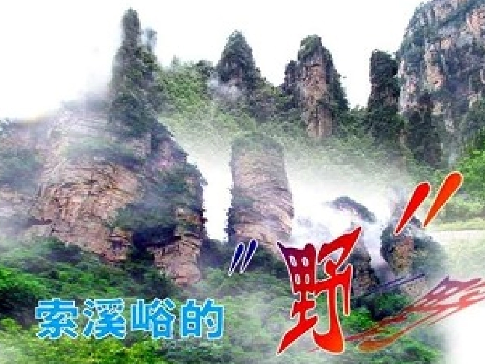 索溪峪的“野“_第1页