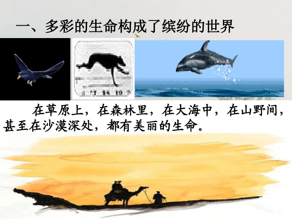 世界因生命而精彩2_第3页