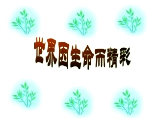 世界因生命而精彩2