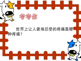 莫让等待成遗憾-主题班会PPT课件