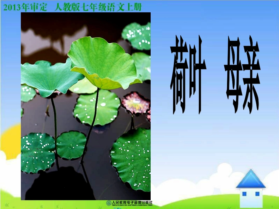 《荷叶母亲》ppt课件_第1页