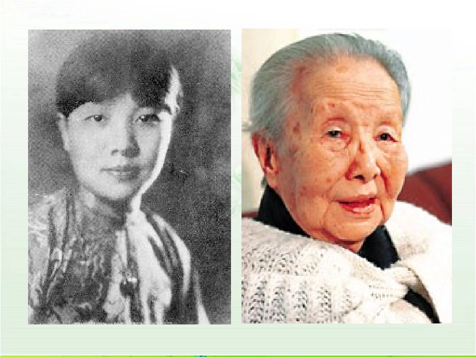 《荷叶母亲》ppt课件_第2页