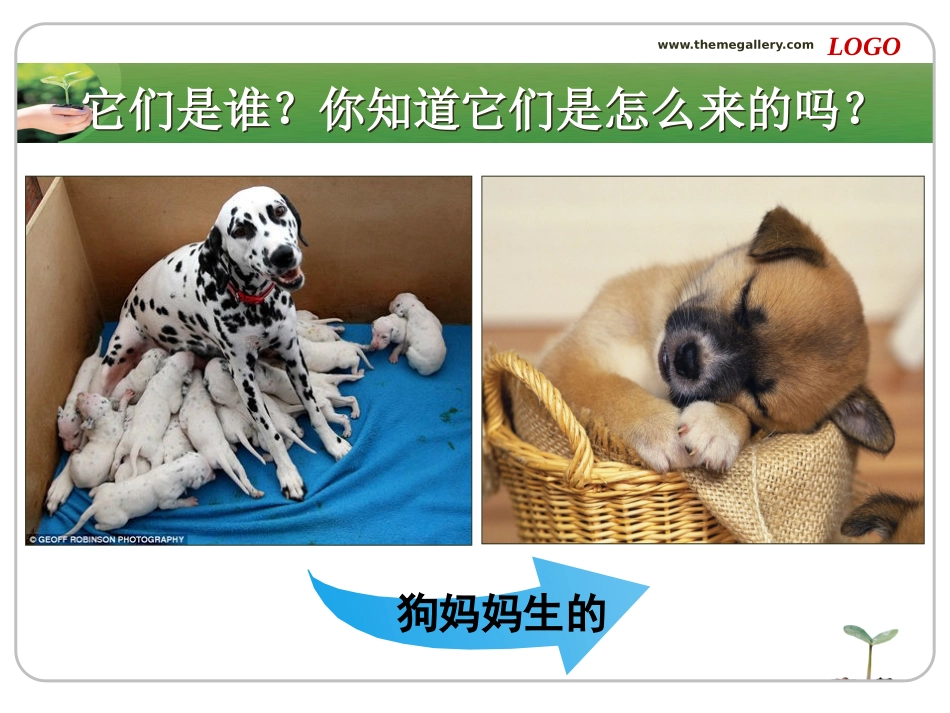 寻找有生命的物体课件_第2页