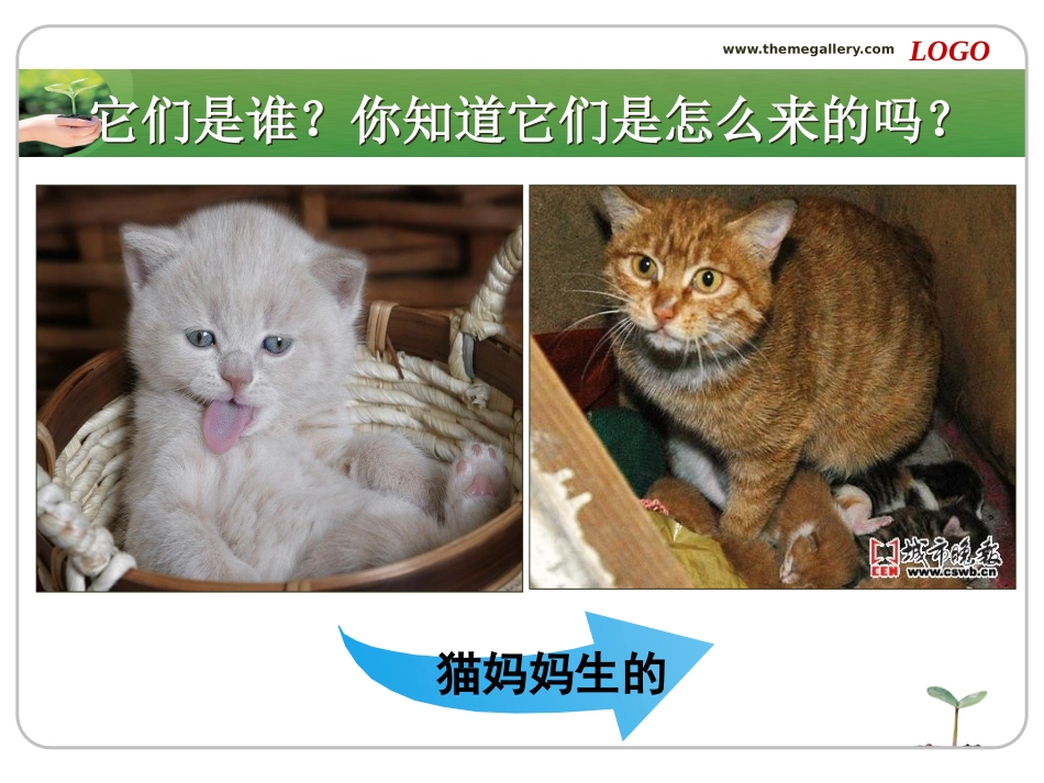 寻找有生命的物体课件_第3页