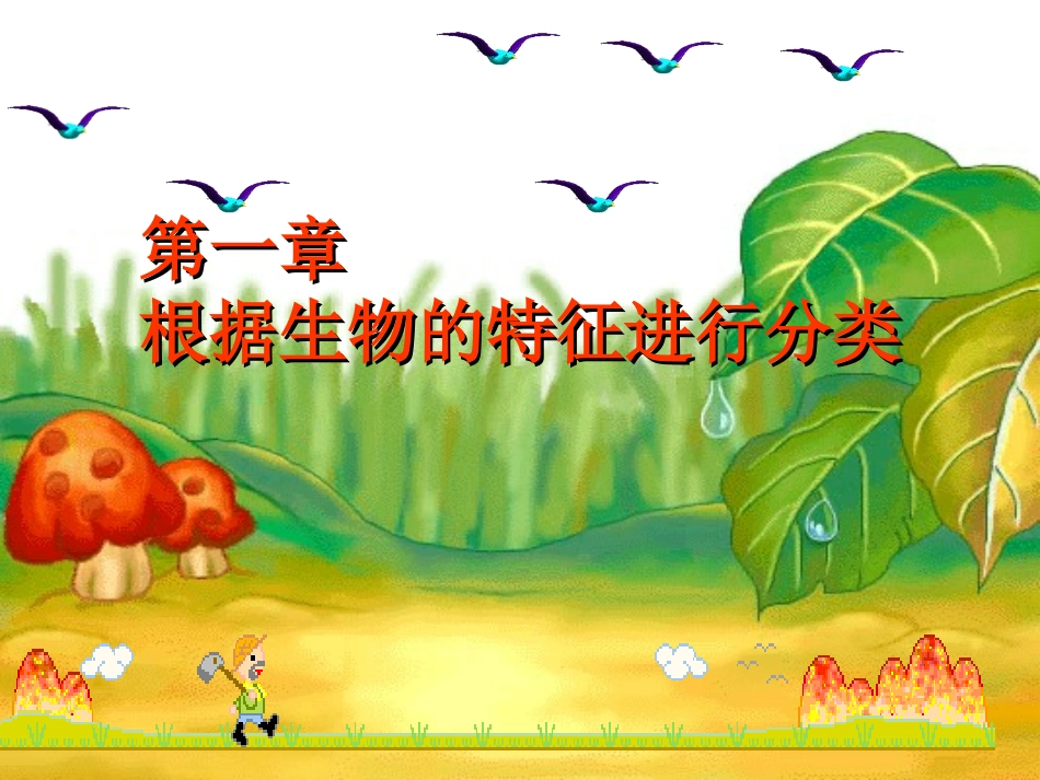 八年级生物尝试对生物进行分类课件(1)_第3页