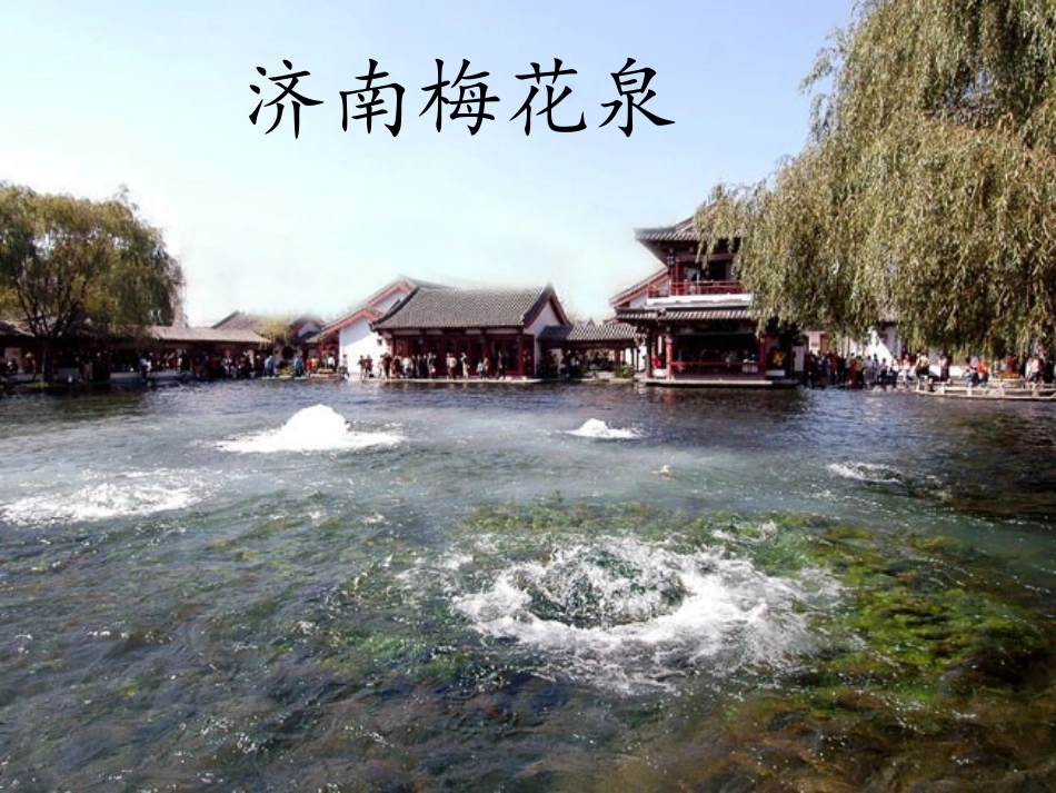 4珍珠泉(2)_第3页