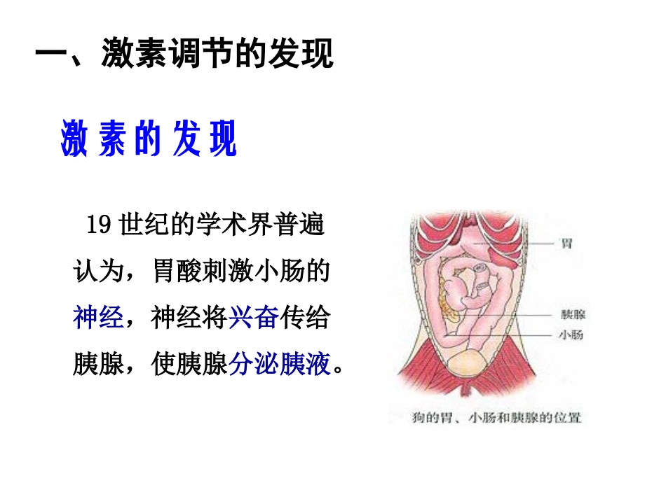 《通过激素的调节》_第3页